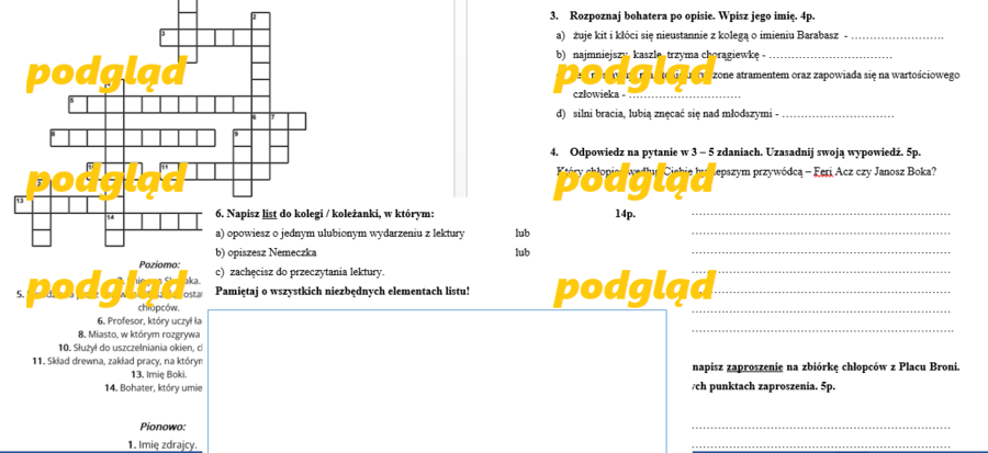 Sprawdzian podsumowujący CHŁOPCY Z PLACU BRONI