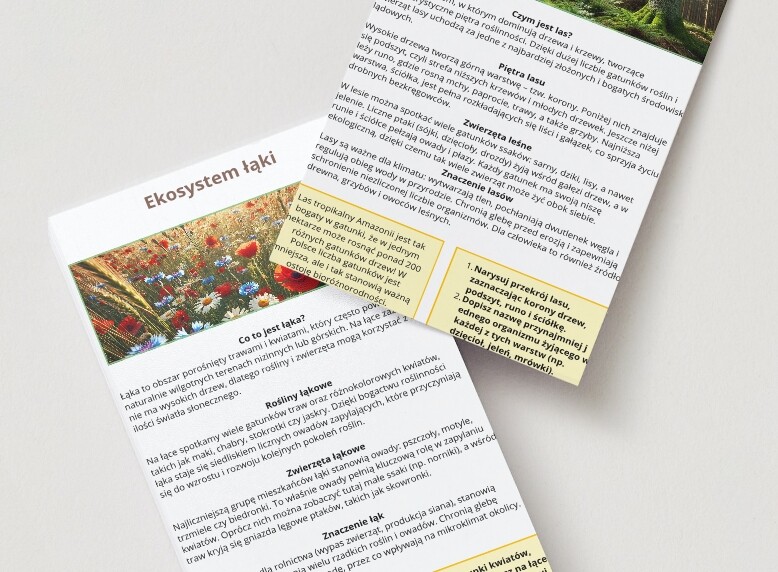 Ekosystemy (łąka, las, jezioro)