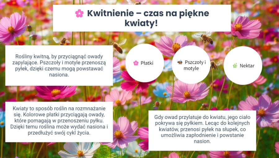 Cykl życia roślin i zwierząt