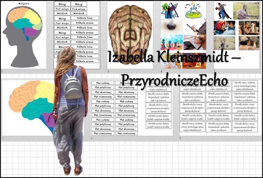 Materiał do zalaminowania/praca w grupach/stacje zadaniowe/układanka/puzzle okienkowa „Ośrodkowy układ nerwowy „Budowa mózgu i mózgowia”, "Półkule i ośrodki" w pdf. Biologia 7 dział „Regulacja nerwowo - hormonalna”.