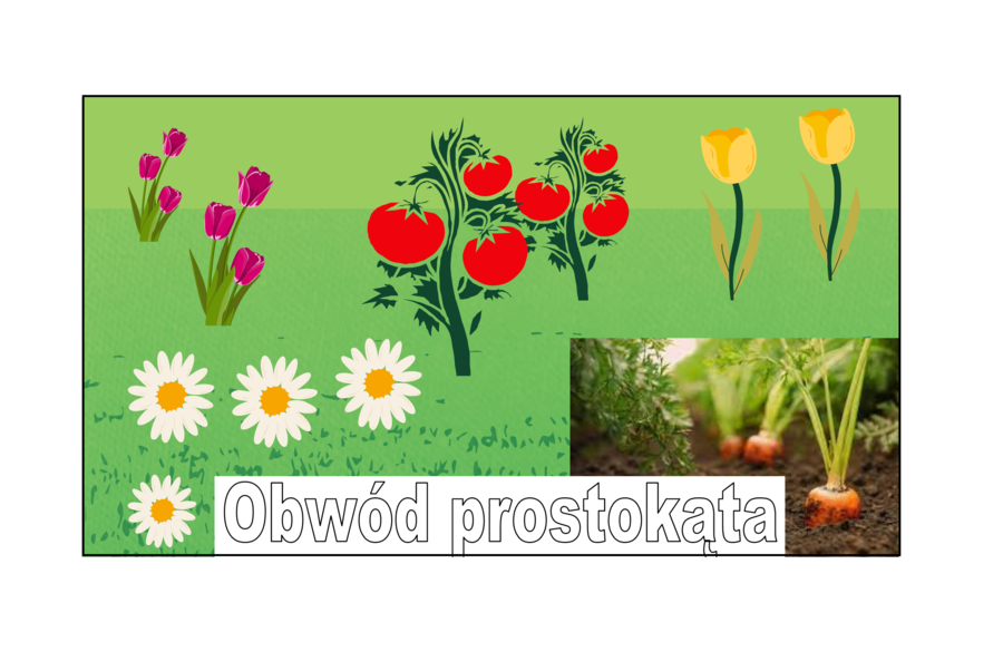 Obwód prostokąta - super pomysł na kreatywną lekcję klasa 3/ klasa 4/ klasa 5