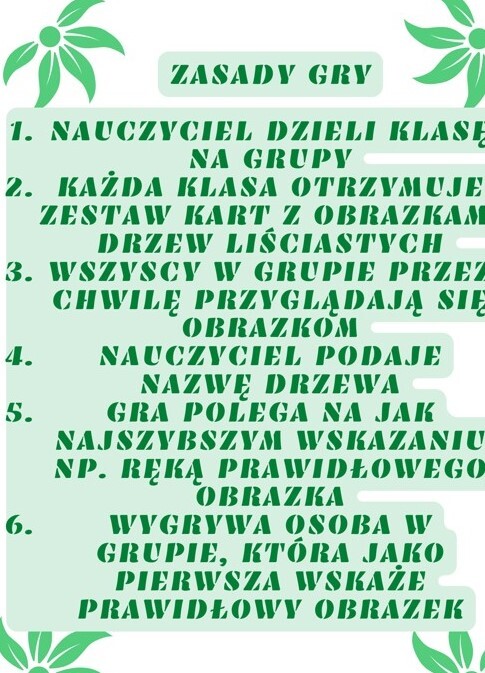 Szybkie rączki - drzewa liściaste