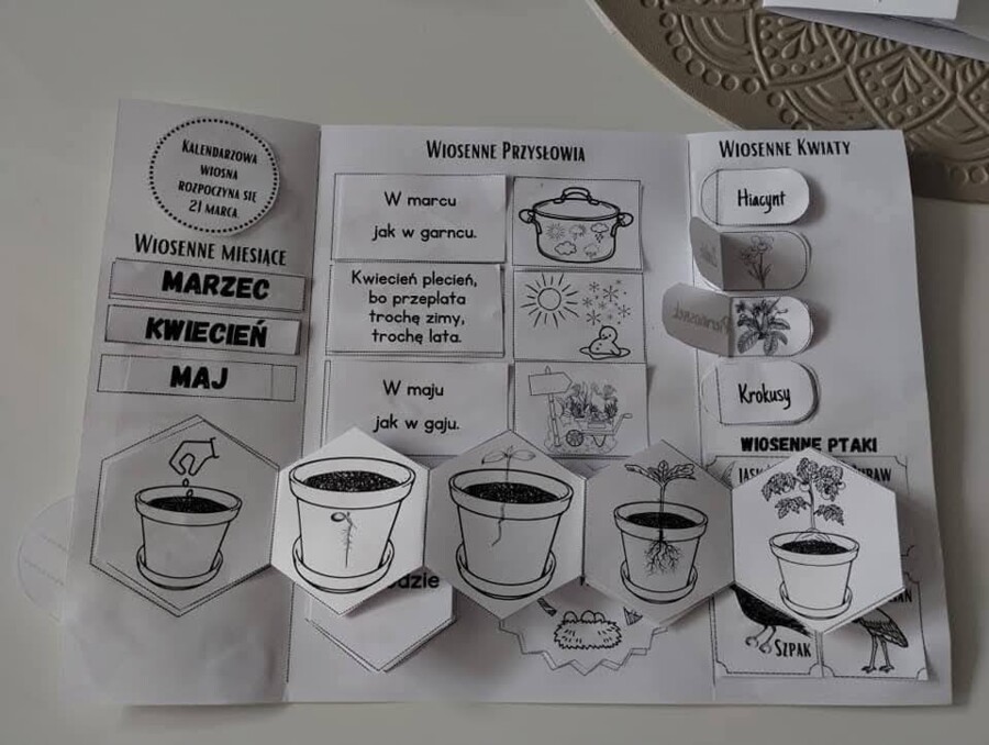 Lapbook wiosna