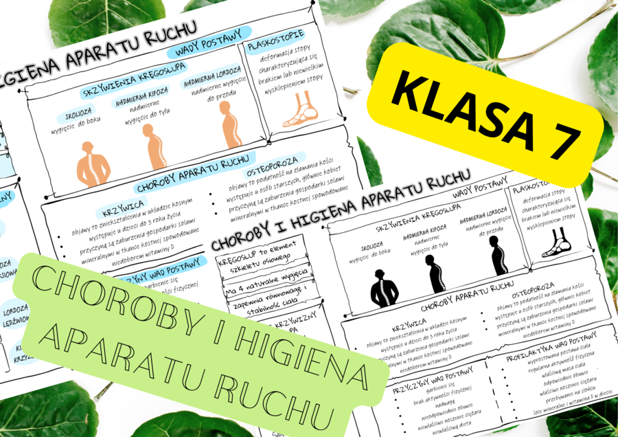 Biologia 7. Choroby i higiena układu ruchu