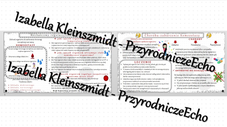 Zestaw sketchnotek – notatek do całego działu „Równowaga wewnętrzna organizmu” wykonanych w power point do edycji. Biologia 7