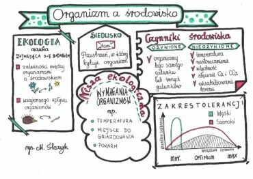 Klasa 8. Biologia. Ekologia.