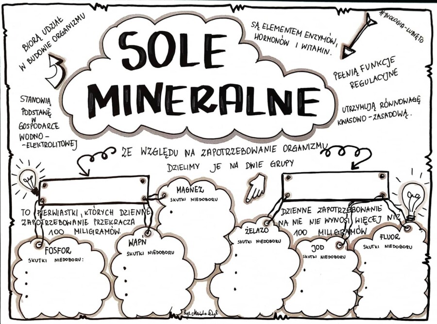 Klasa 7. Biologia. Budowa i rola mięśni (dwie karty pracy: kolorowa + do uzupełnienia)