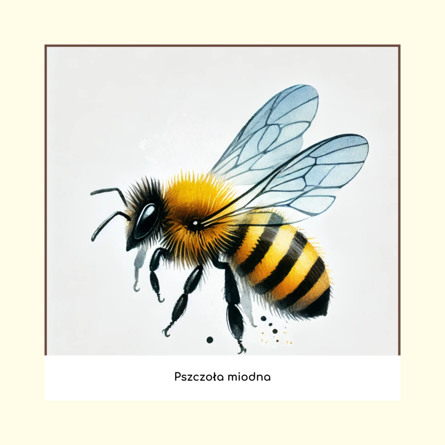 Ekologiczne memory (gra edukacyjna)