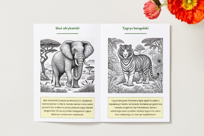 Karty do kolorowania z motywami przyrodniczymi (zwierzęta, rośliny, krajobrazy).