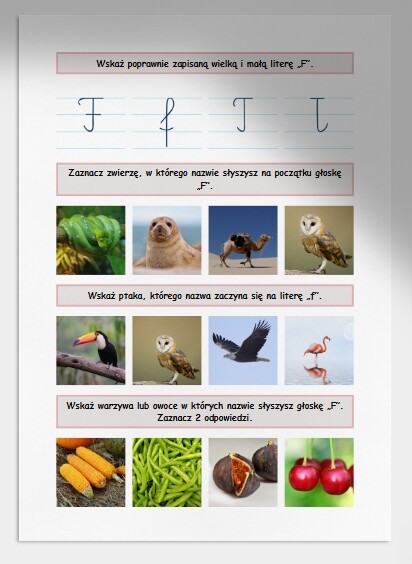 F i f. Karta pracy. Sprawdzian