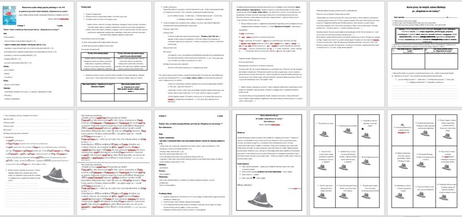 Kapelusz za 100 tysięcy - scenariusze lekcji, karty pracy, karty do gry. Lektura dodatkowa .