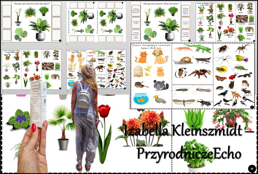 Książeczka/karta pracy/wklejka/stacje zadaniowe/notatka okienkowa. Temat „Rośliny i zwierzęta wokół nas” w pdf. Przyroda 4, dział „Poznajemy świat organizmów”. Nowość 2024/2025.