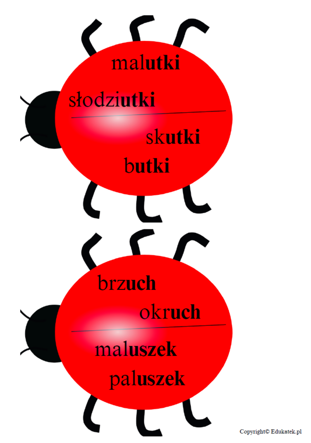 Ilustrowane zasady ortograficzne