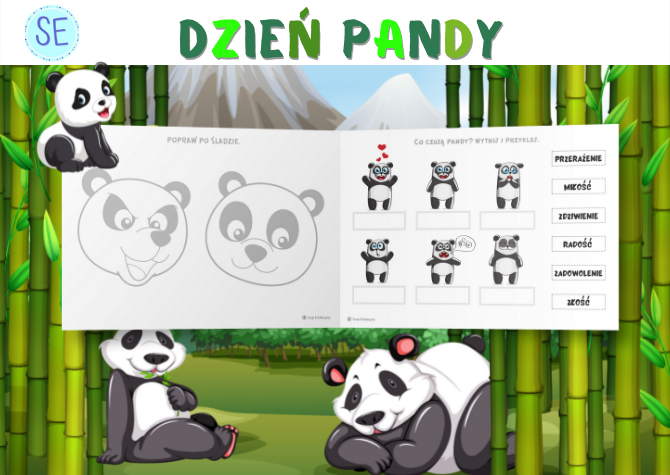 ?? Dzień Pandy ??
