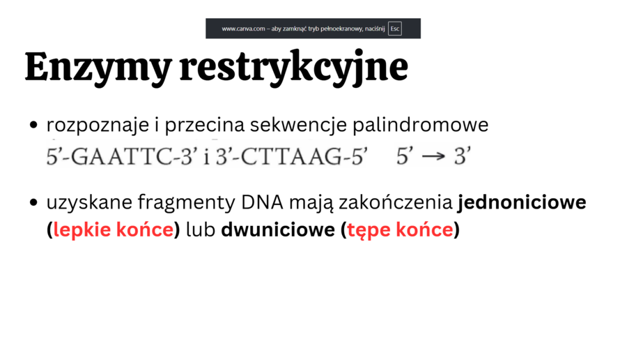 biotechnologia molekularna KLASA 4 ROZSZERZENIE BIOLOGIA