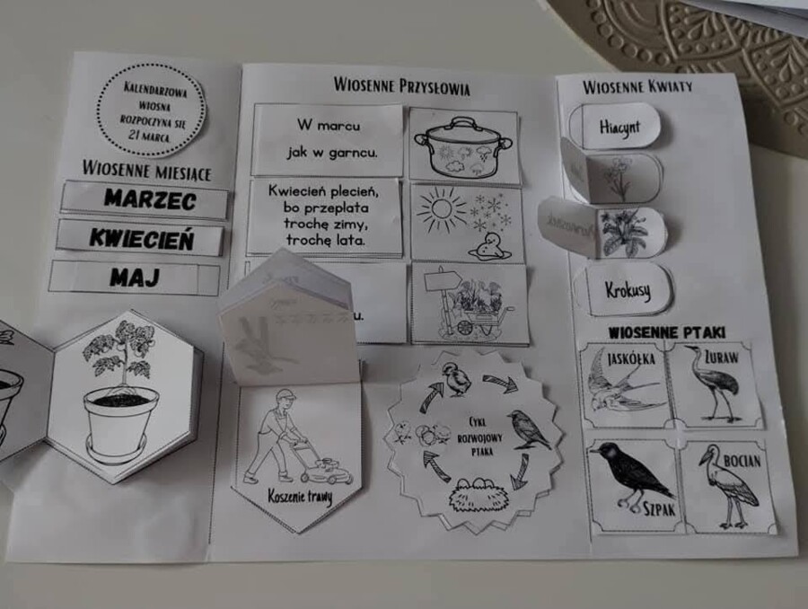 Lapbook wiosna