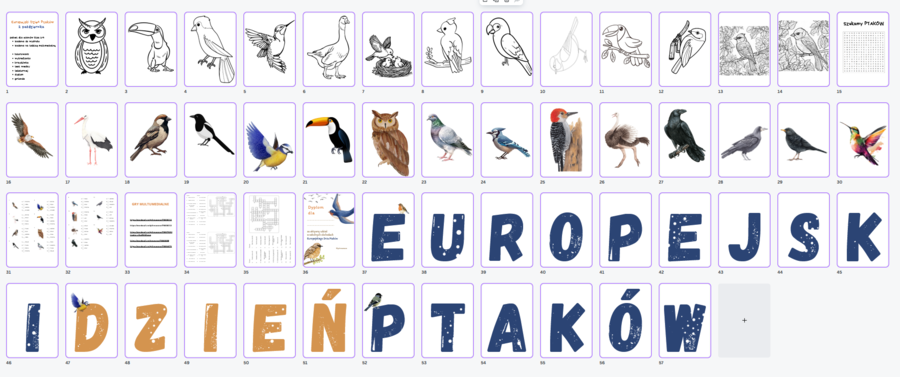 Europejski Dzień Ptaków - oprawa wydarzenia szkolnego