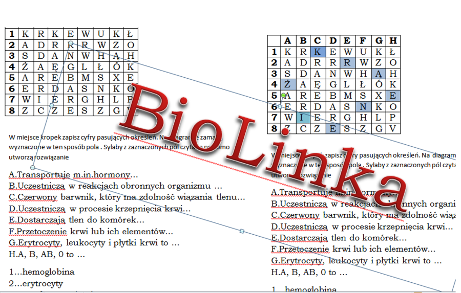 Kodowanka dla klasy 7 na podsumowanie lekcji o budowie i funkcjach krwi