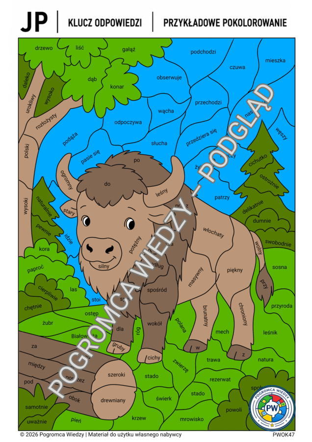 Gramatyczne skarby Polski - BIAŁOWIEŻA - karta pracy + klucz odpowiedzi