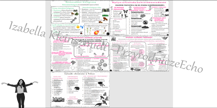Zestaw sketchnotek z biologii (5) do klasy 8, dział „Człowiek i środowisko”. Szkoła Podstawowa