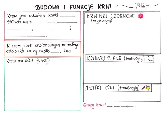 Budowa i funkcje krwi (karta pracy)