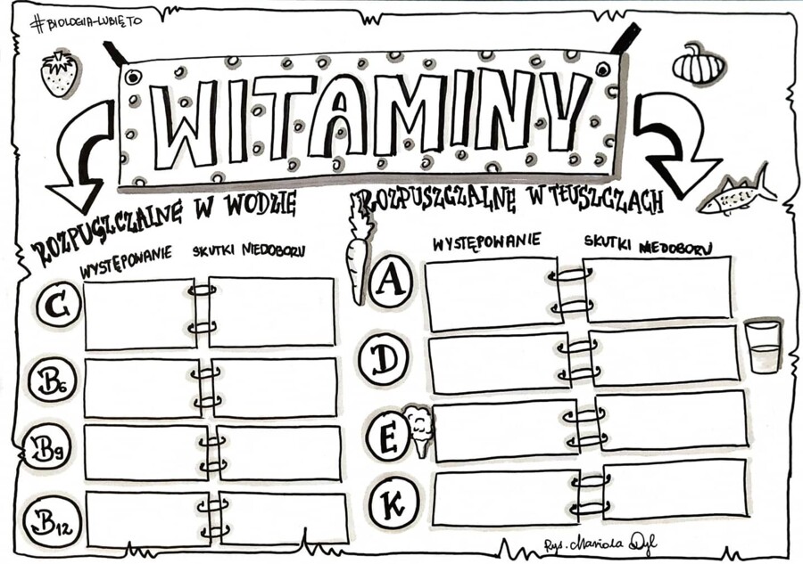 Klasa 7. Biologia. Witaminy (dwie karty pracy: kolorowa + do uzupełnienia)
