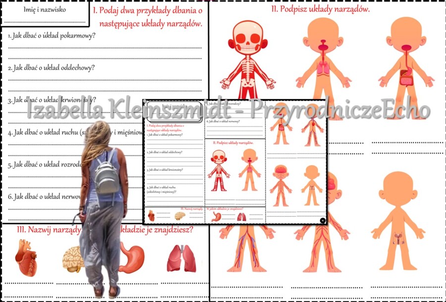 Dwie karty pracy/zadanie do stacji zadaniowych. Podsumowanie wiadomości z działu "Odkrywamy tajemnice ciała człowieka". Przyroda 4.