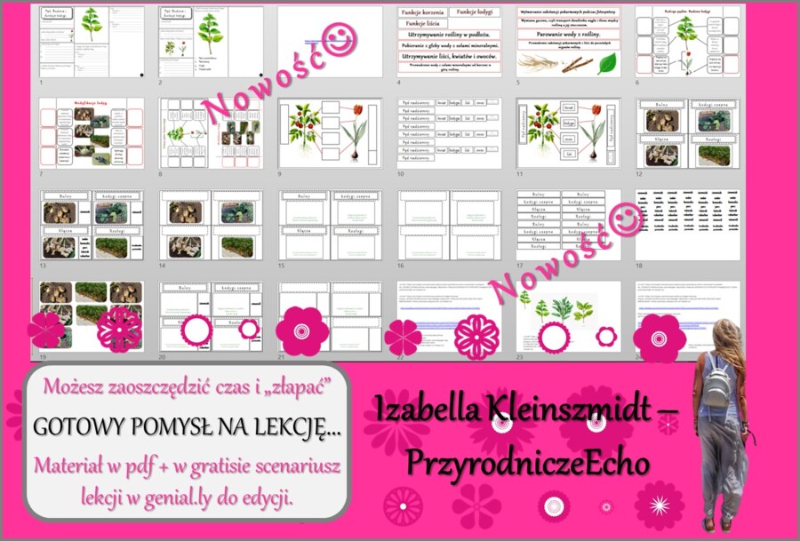 Pomysł na lekcję/karta pracy/stacje zadaniowe/materiał do lekcji do tematu „Pęd – budowa i funkcje łodygi.” w pdf. W gratisie niekomercyjny scenariusz lekcji/pomysł na lekcję w programie genial.ly do edycji. Biologia 5. Dział „Tkanki i organy roślinne”.