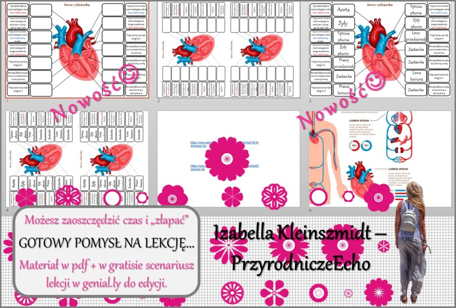 Pomysł na lekcję/karta pracy/stacje zadaniowe/materiał do lekcji do tematu „Budowa serca:, „Ciśnienie krwi i tętno”” w pdf. W gratisie niekomercyjny scenariusz lekcji/pomysł na lekcję w programie genial.ly do edycji. Biologia 7. Dział „Układ krwionośny”.