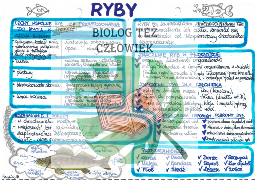 Zwierzęta - Kręgowce - RYBY (kolor)