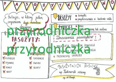 Pasożytnictwo 2 karty