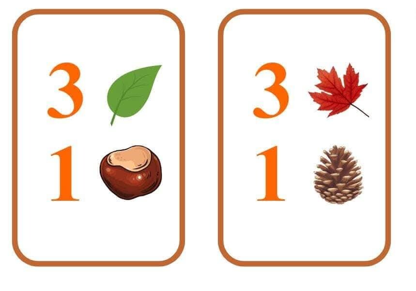 Matematyczna wiewiórka