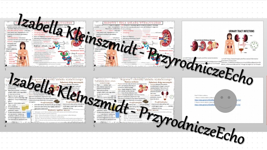 Zestaw sketchnotek i kart pracy + gratisowe linki do prezentacji multimedialnych niekomercyjnych wykonanych w genial.ly do indywidualnego pobrania i użycia do celów niekomercyjnych. Biologia 7, „Układ wydalniczy”