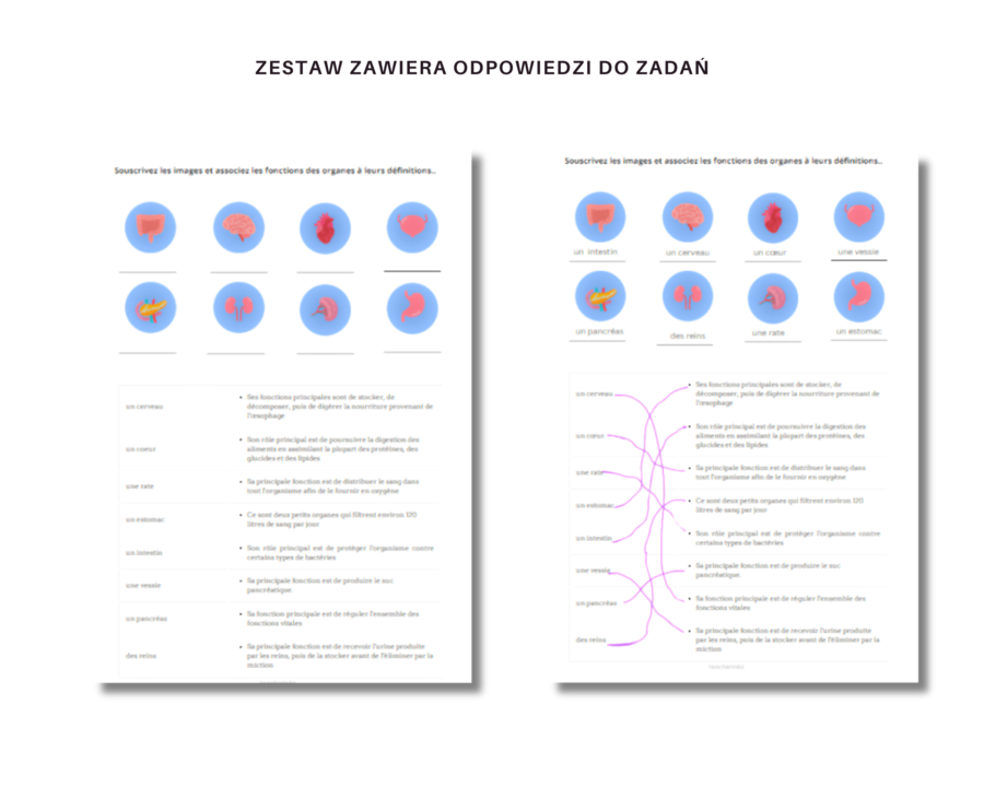 Język Francuski Medyczny, Anatomia, Organy i ich funkcje, Ćwiczenia, Słownictwo, Karty Pracy, Principaux organes du corps humain, Anatomie humaine