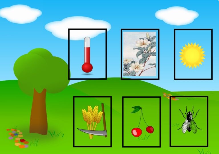 Oznaki lata – Gra planszowa