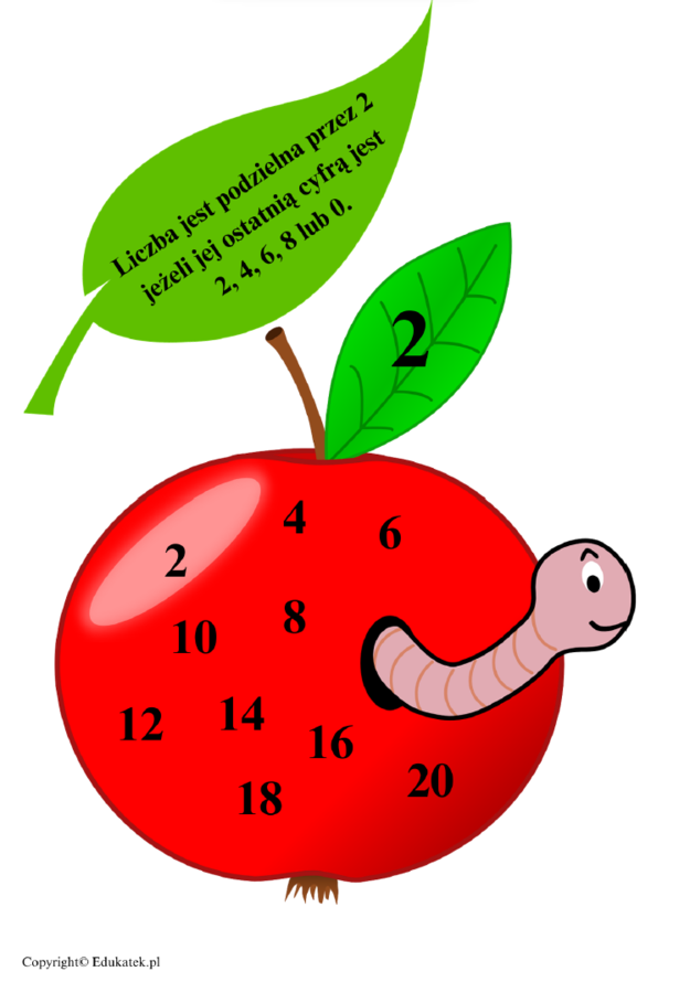 Zestaw dekoracji i ćwiczeń z tabliczki mnożenia – podzielność