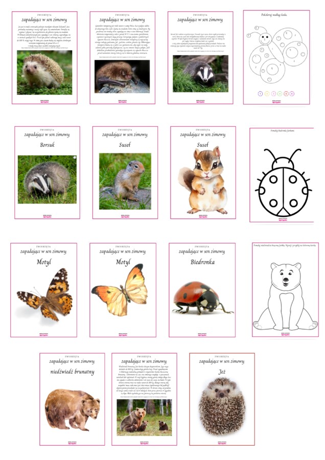 Zwierzęta zapadające w sen zimowy