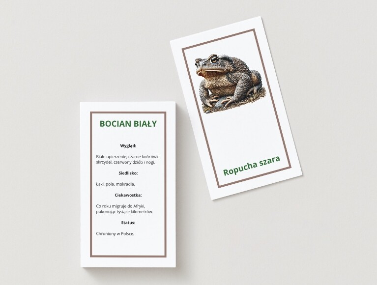 Zgadnij, kto to? - Gra. Karty z gatunkami roślin / zwierząt