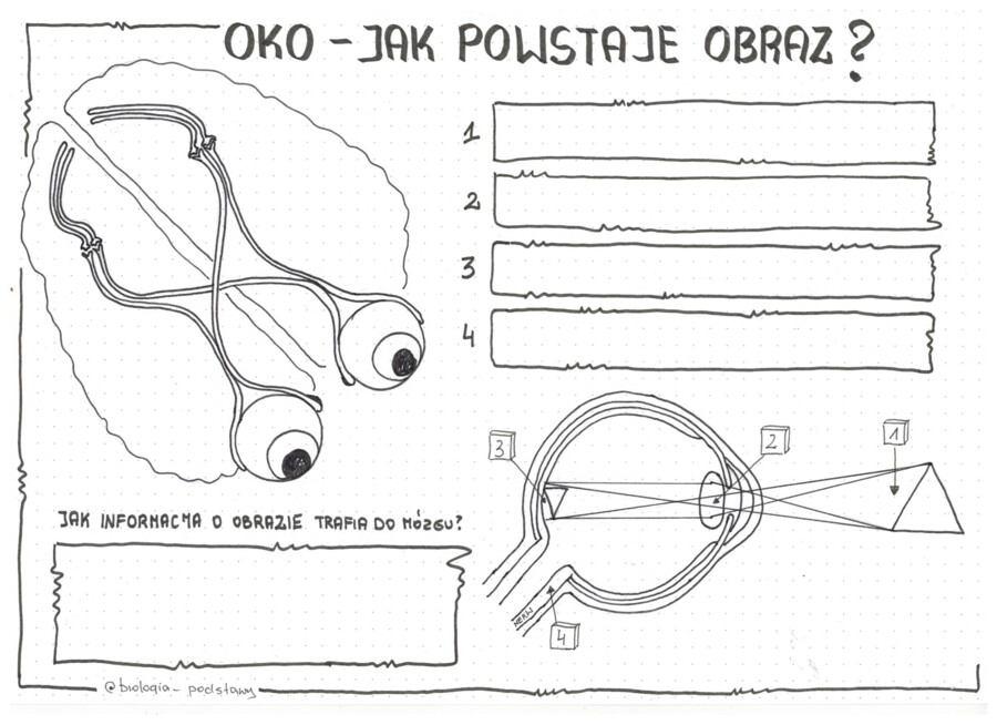 Oko - czyli jak powstaje obraz - klasa 7 - kp do uzupełnienia