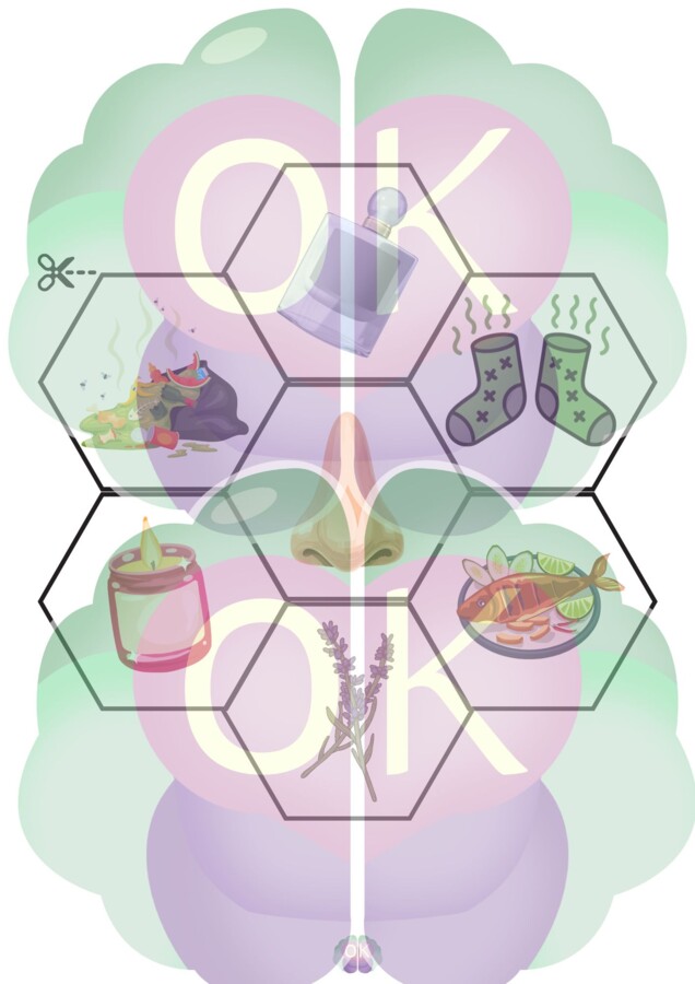 Akademia Pięciu Zmysłów – Wielki Pakiet Edukacyjny (23 strony)