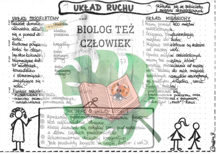PRZYRODA - Ciało człowieka - Układ ruchu (układ szkieletowy i mięśniowy) - szarość
