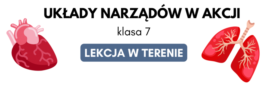 Lekcja biologii w terenie "Układy narządów w akcji" dla klasy 7
