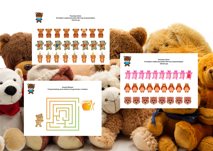 DZIEŃ PLUSZEWGO MISIA