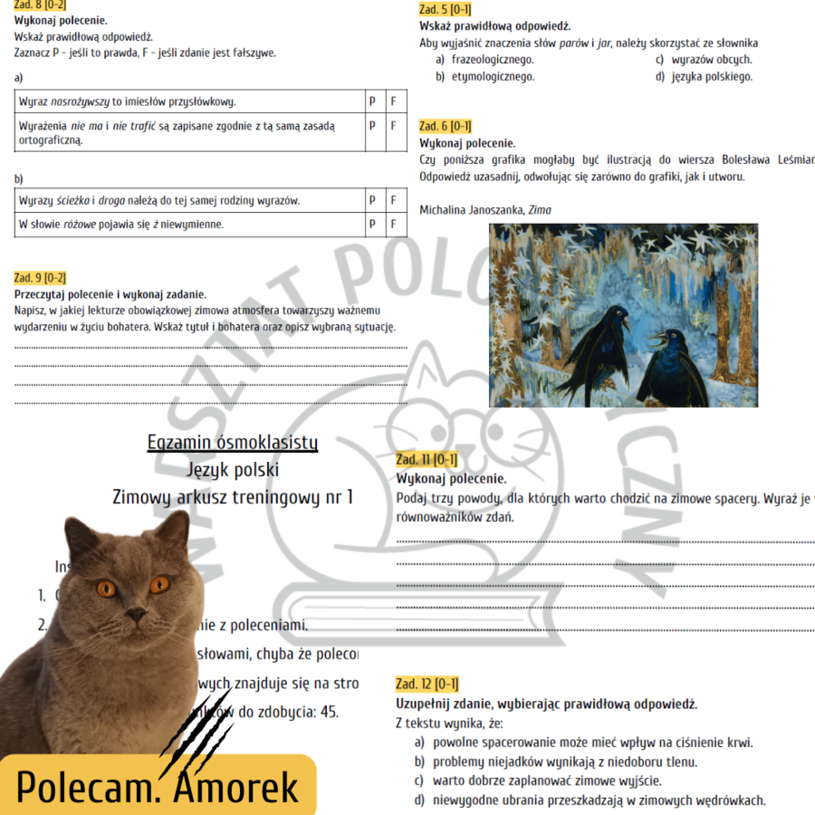Zimowy egzamin ósmoklasisty - arkusz treningowy nr 1