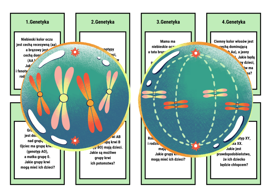 Klasa 8. Biologia. Genetyka. Gra planszowa. Pytania otwarte. Zadania - krzyżówki genetyczne. Karta odpowiedzi. Szachownica Punnetta