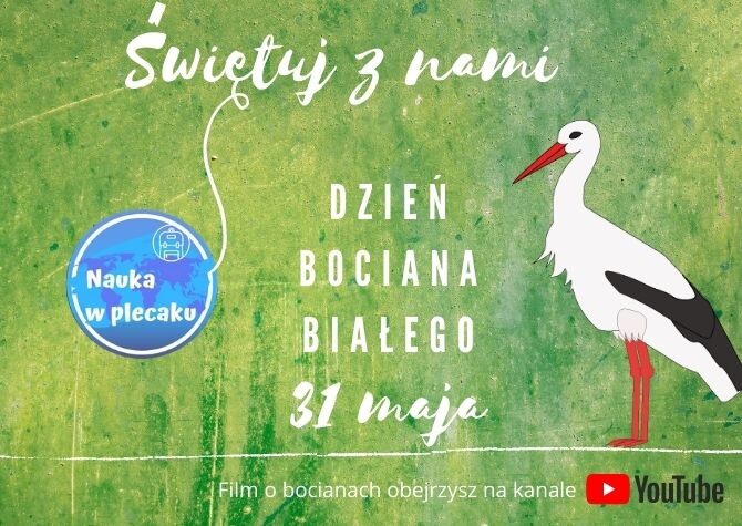 Film - Dzień Bociana Białego - 31 maja