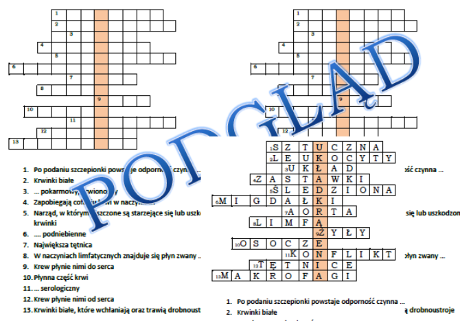 Logogryf do lekcji powtórzeniowej w klasie 7 z układu krążenia