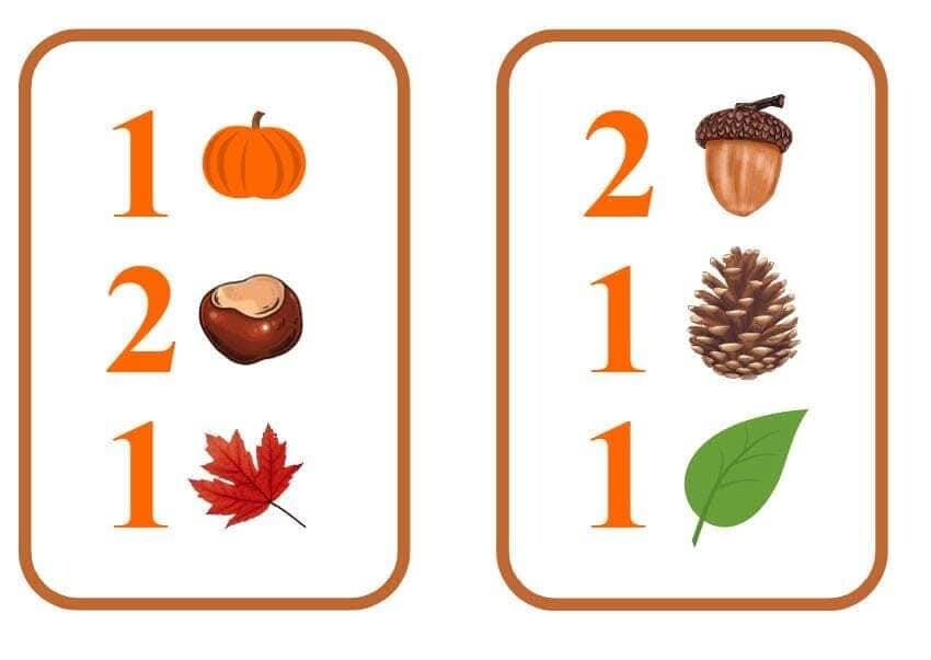 Matematyczna wiewiórka