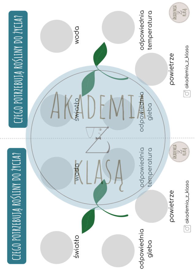 CZEGO POTRZEBUJĄ DO ŻYCIA ROŚLINY? - plansza edukacyjna i karty pracy dla ucznia