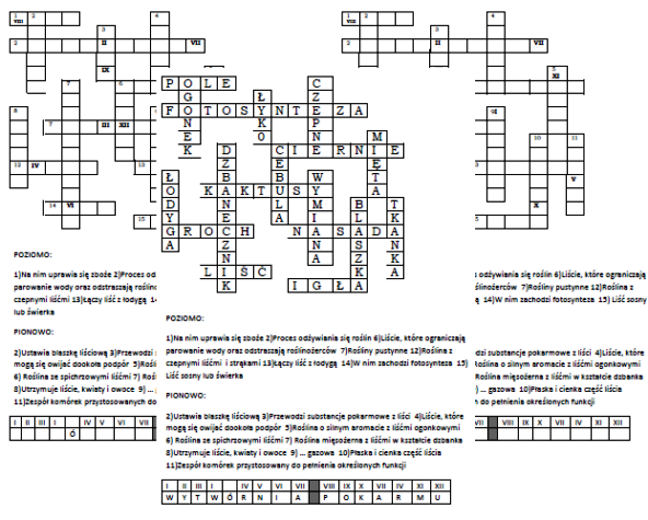 Krzyżówka dla klasy 5 na podsumowanie lekcji o liściach